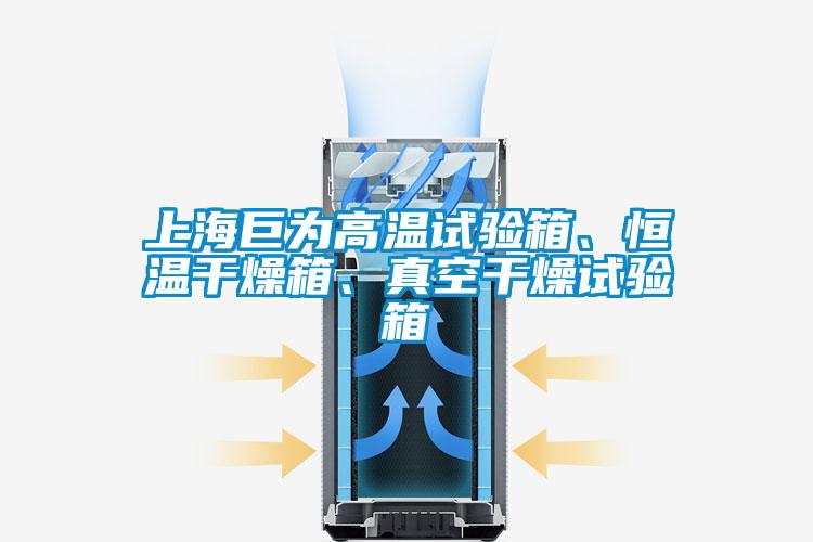 上海巨為高溫試驗箱、恒溫干燥箱、真空干燥試驗箱