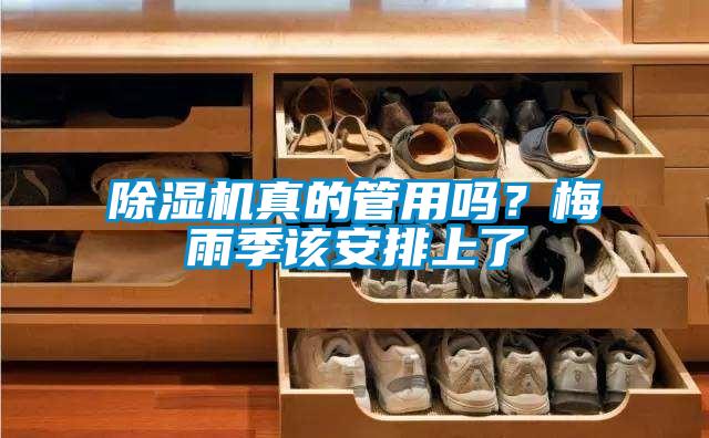 除濕機真的管用嗎？梅雨季該安排上了