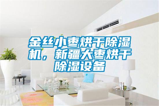 金絲小棗烘干除濕機，新疆大棗烘干除濕設備