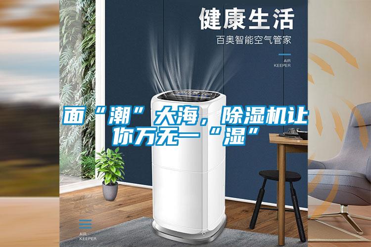 面“潮”大海，除濕機讓你萬無一“濕”