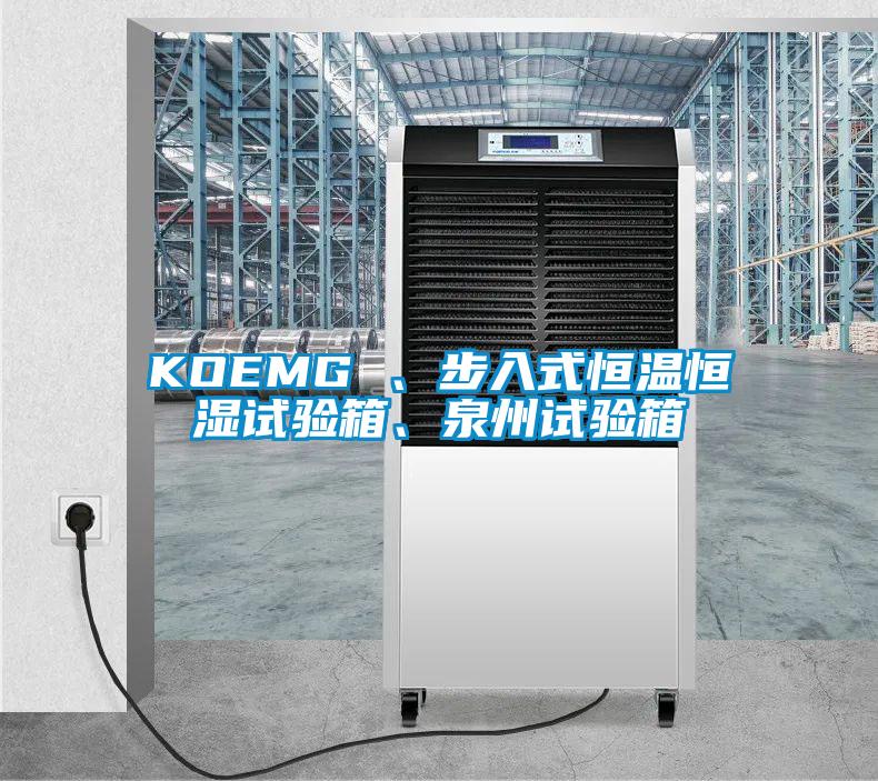 KOEMG 、步入式恒溫恒濕試驗箱、泉州試驗箱