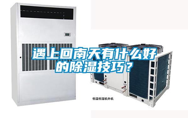 遇上回南天有什么好的除濕技巧？