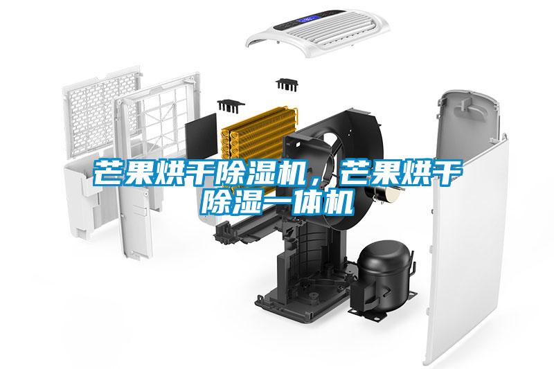 芒果烘干除濕機，芒果烘干除濕一體機