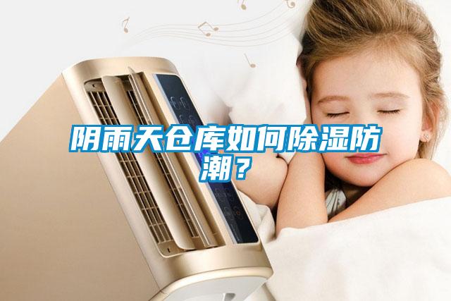 陰雨天倉庫如何除濕防潮？