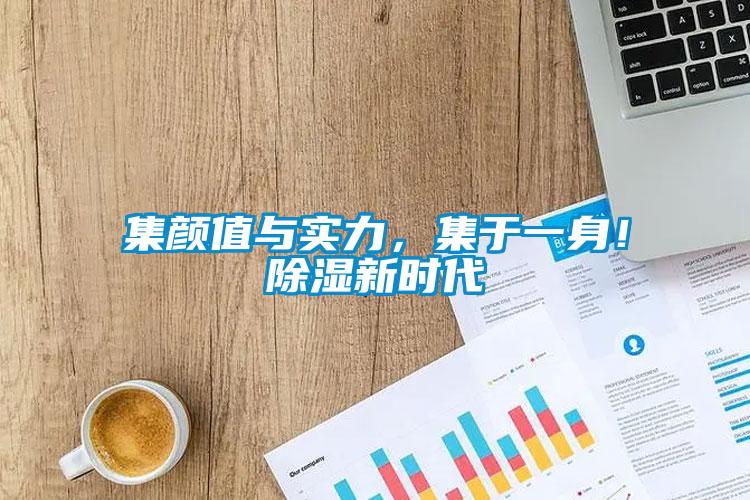 集顏值與實力，集于一身！除濕新時代