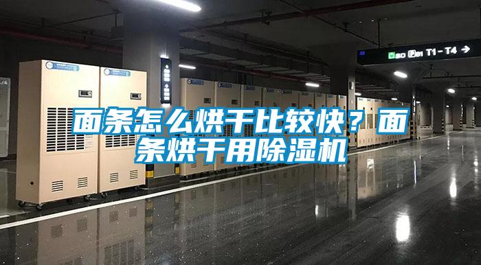 面條怎么烘干比較快？面條烘干用除濕機