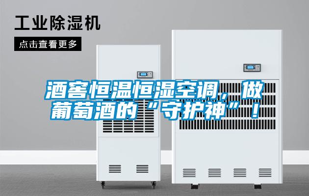 酒窖恒溫恒濕空調，做葡萄酒的“守護神”！
