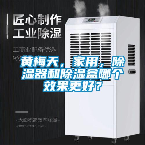 黃梅天，家用，除濕器和除濕盒哪個效果更好？