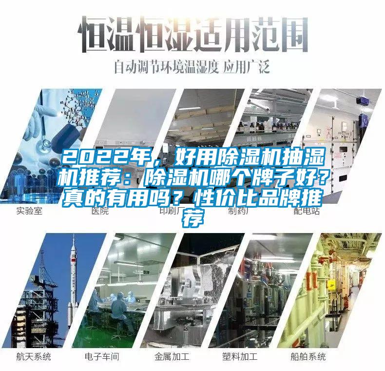 2022年，好用除濕機抽濕機推薦：除濕機哪個牌子好？真的有用嗎？性價比品牌推薦