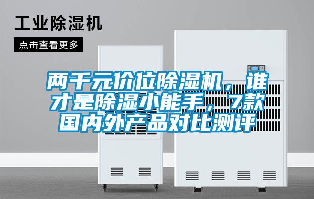 兩千元價位除濕機，誰才是除濕小能手，7款國內外產品對比測評