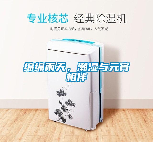 綿綿雨天，潮濕與元宵相伴