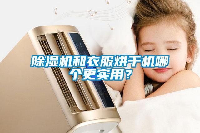 除濕機和衣服烘干機哪個更實用？