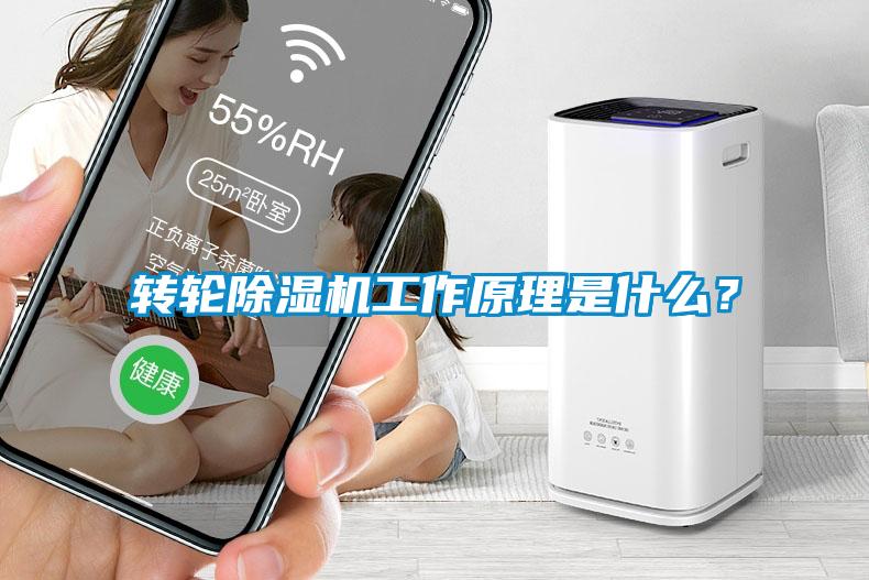 轉輪除濕機工作原理是什么？