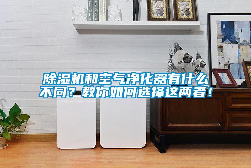 除濕機和空氣凈化器有什么不同？教你如何選擇這兩者！