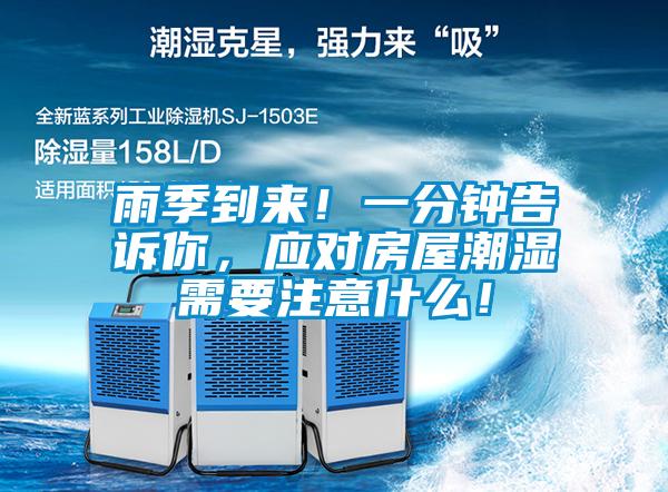 雨季到來！一分鐘告訴你，應對房屋潮濕需要注意什么！