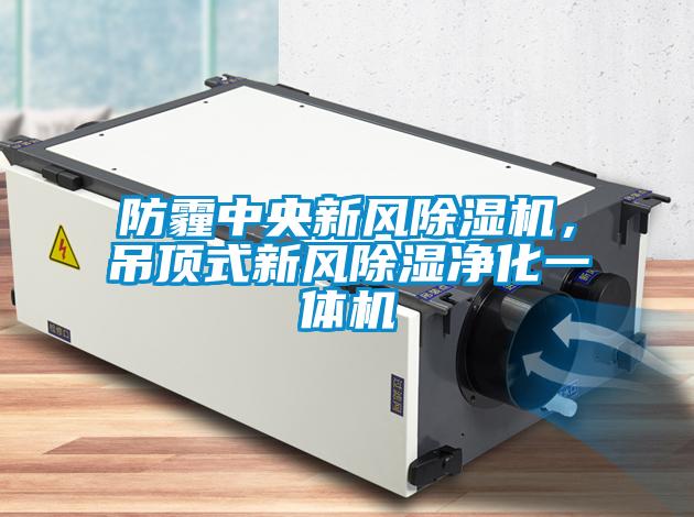 防霾中央新風除濕機，吊頂式新風除濕凈化一體機