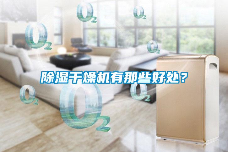除濕干燥機有那些好處？