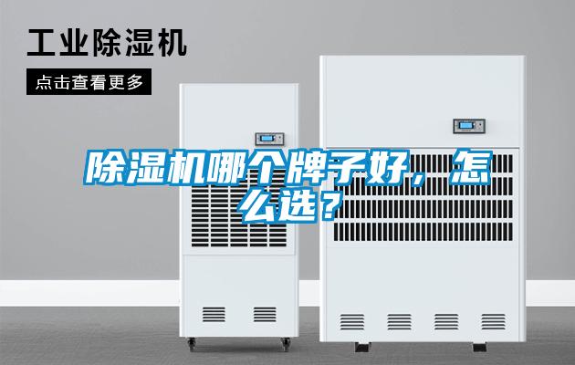 除濕機哪個牌子好，怎么選？