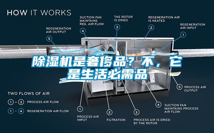 除濕機是奢侈品？不，它是生活必需品