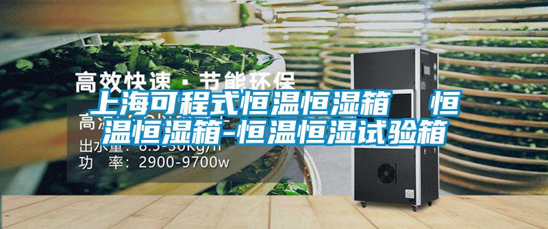 上?？沙淌胶銣睾銤裣? 恒溫恒濕箱-恒溫恒濕試驗箱