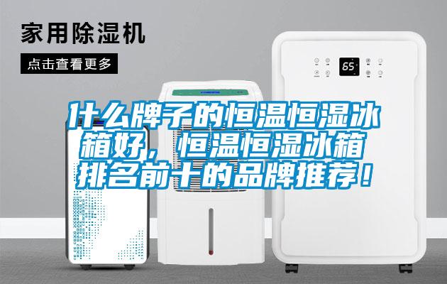 什么牌子的恒溫恒濕冰箱好，恒溫恒濕冰箱排名前十的品牌推薦！