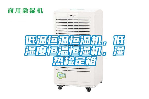 低溫恒溫恒濕機，低濕度恒溫恒濕機，濕熱檢定箱
