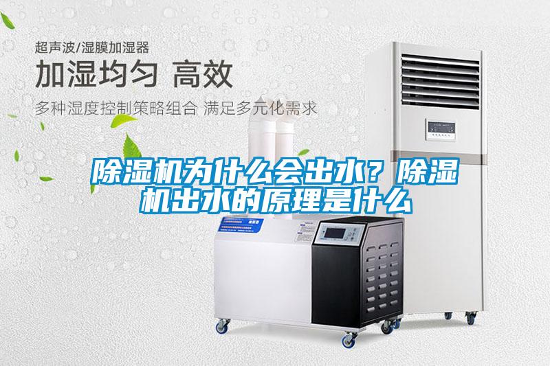 除濕機為什么會出水？除濕機出水的原理是什么