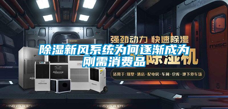 除濕新風系統為何逐漸成為剛需消費品