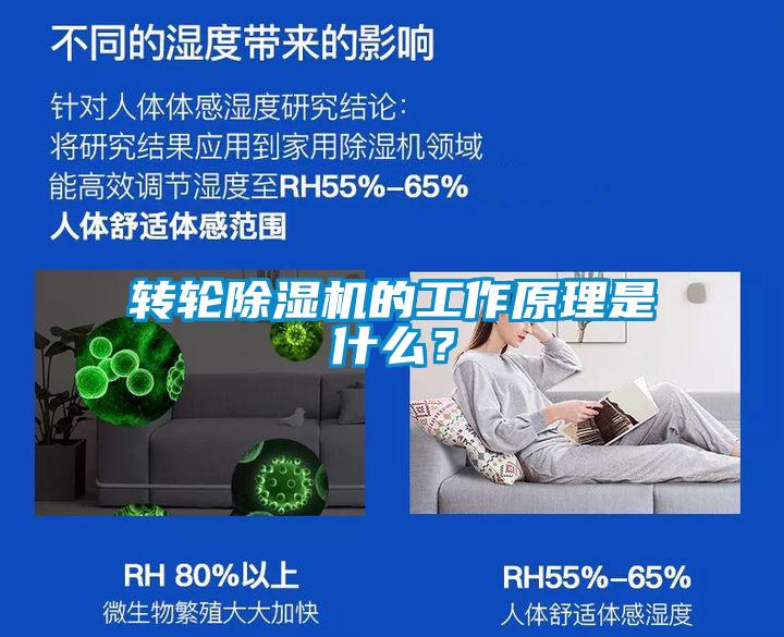 轉輪除濕機的工作原理是什么？