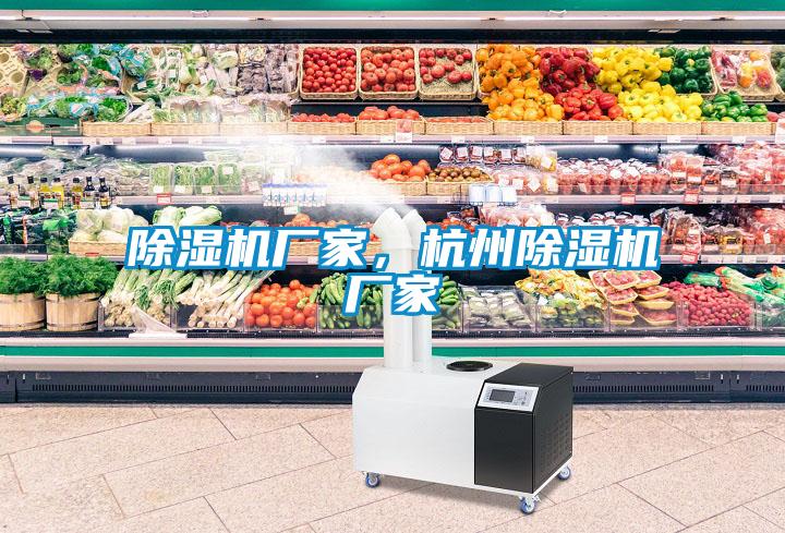 除濕機廠家，杭州除濕機廠家