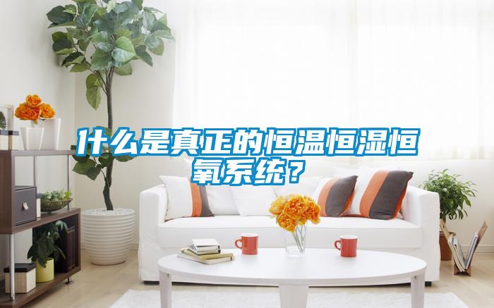 什么是真正的恒溫恒濕恒氧系統？