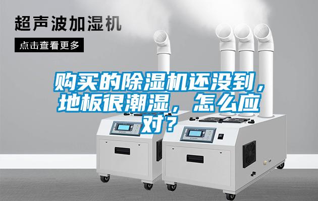 購買的除濕機還沒到，地板很潮濕，怎么應對？