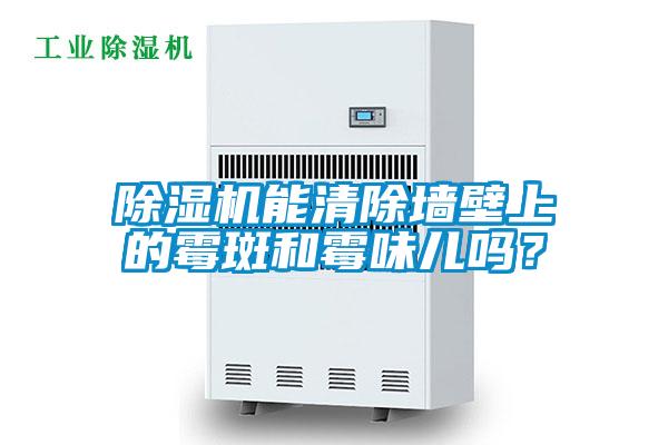 除濕機能清除墻壁上的霉斑和霉味兒嗎？