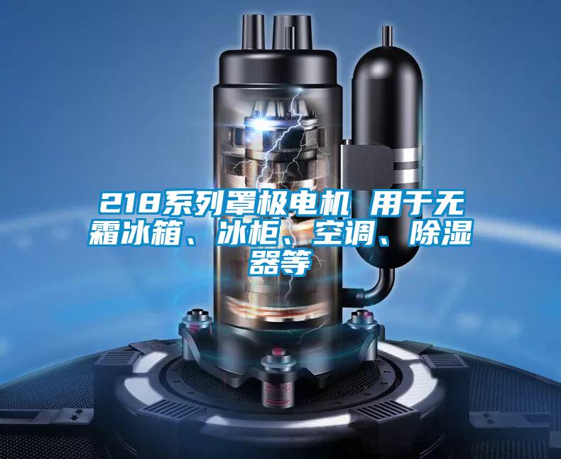 218系列罩極電機 用于無霜冰箱、冰柜、空調、除濕器等