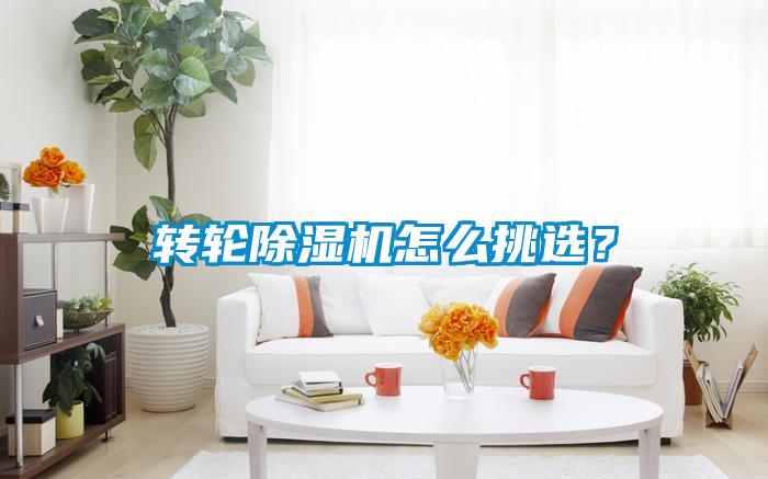 轉輪除濕機怎么挑選？
