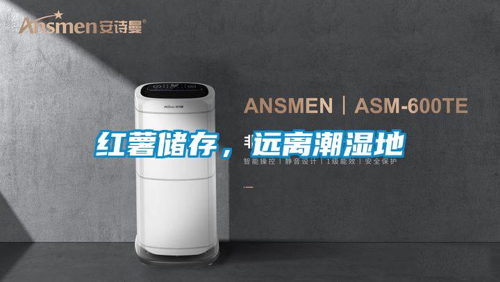 紅薯儲存，遠離潮濕地