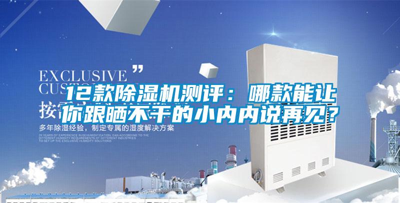 12款除濕機測評：哪款能讓你跟曬不干的小內內說再見？