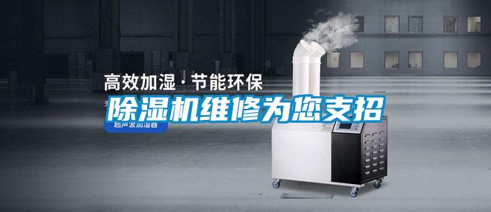 除濕機維修為您支招