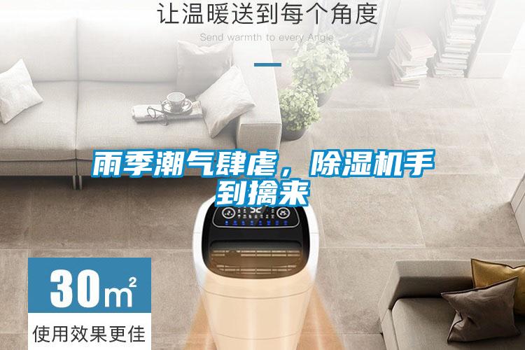 雨季潮氣肆虐，除濕機手到擒來