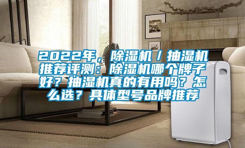 2022年，除濕機／抽濕機推薦評測：除濕機哪個牌子好？抽濕機真的有用嗎？怎么選？具體型號品牌推薦