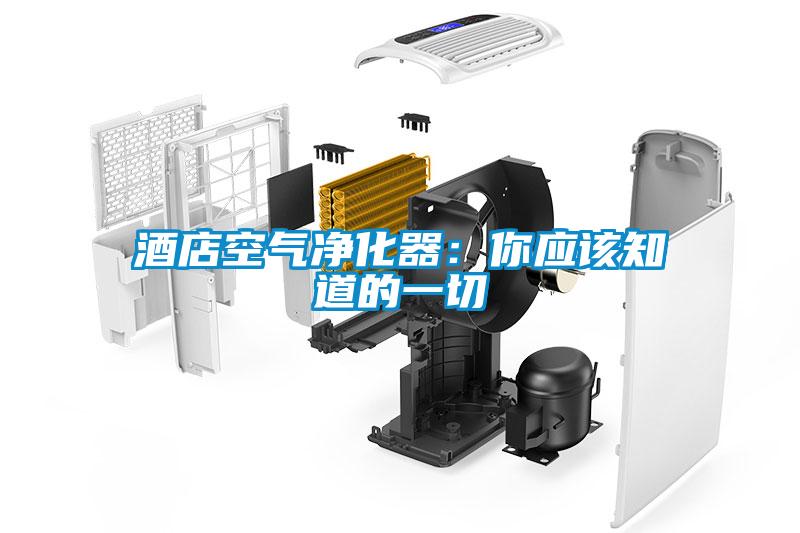 酒店空氣凈化器：你應該知道的一切