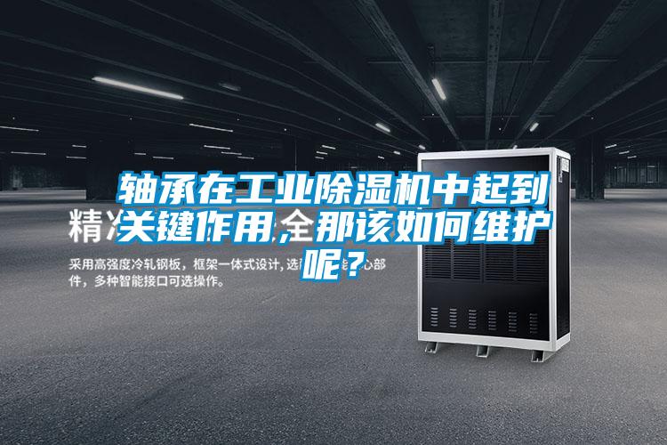 軸承在工業除濕機中起到關鍵作用，那該如何維護呢？