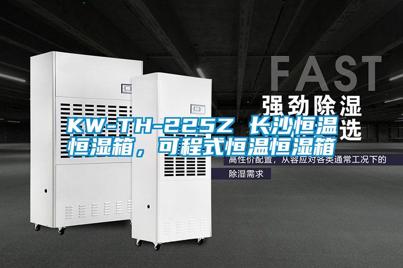 KW-TH-225Z 長沙恒溫恒濕箱，可程式恒溫恒濕箱