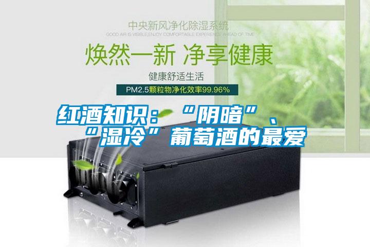 紅酒知識：“陰暗”、“濕冷”葡萄酒的最愛
