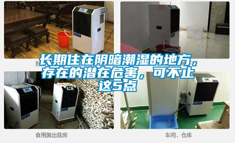 長期住在陰暗潮濕的地方，存在的潛在危害，可不止這5點