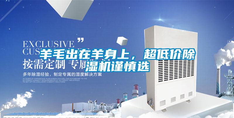 羊毛出在羊身上，超低價除濕機謹慎選
