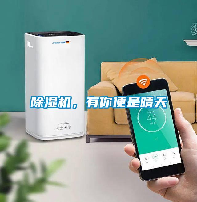 除濕機，有你便是晴天