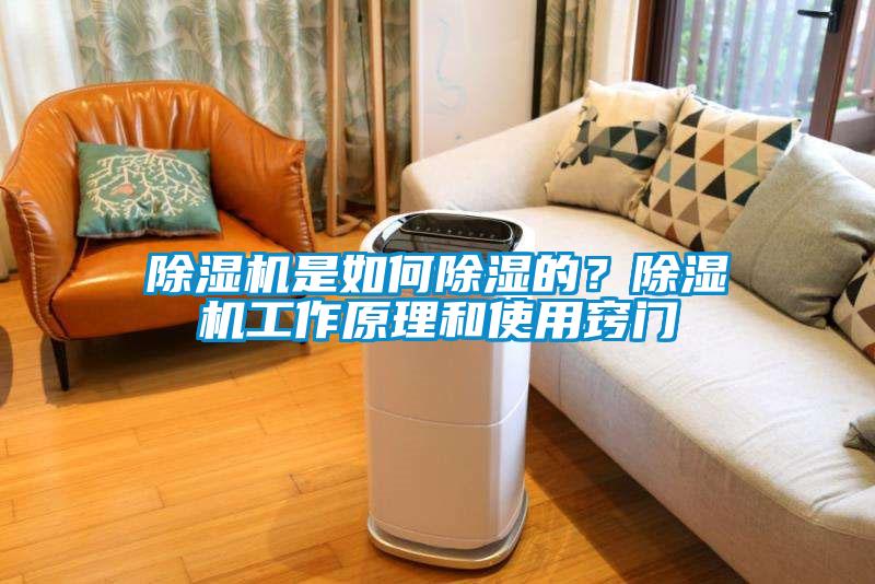 除濕機是如何除濕的？除濕機工作原理和使用竅門