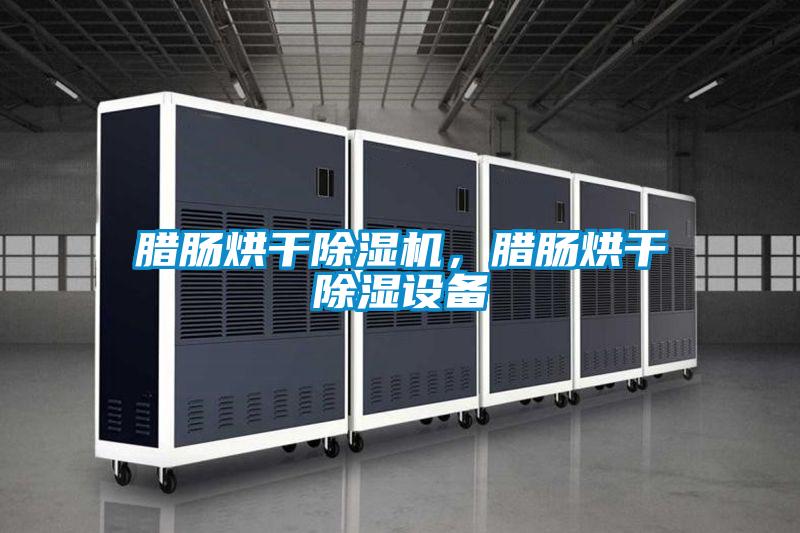 臘腸烘干除濕機，臘腸烘干除濕設備