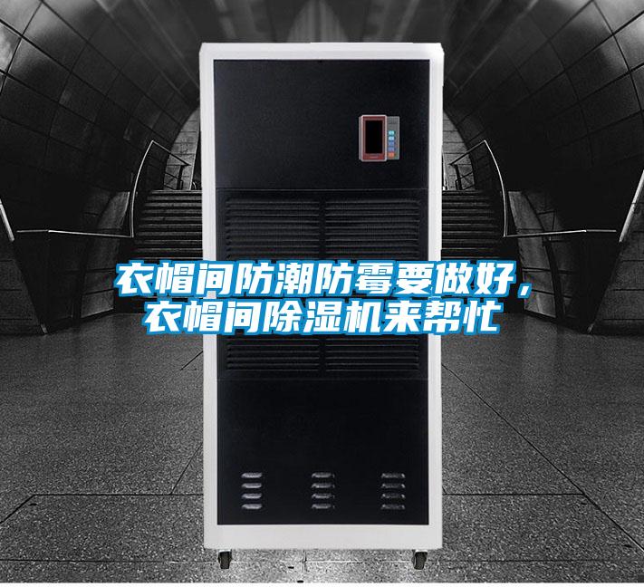 衣帽間防潮防霉要做好，衣帽間除濕機來幫忙